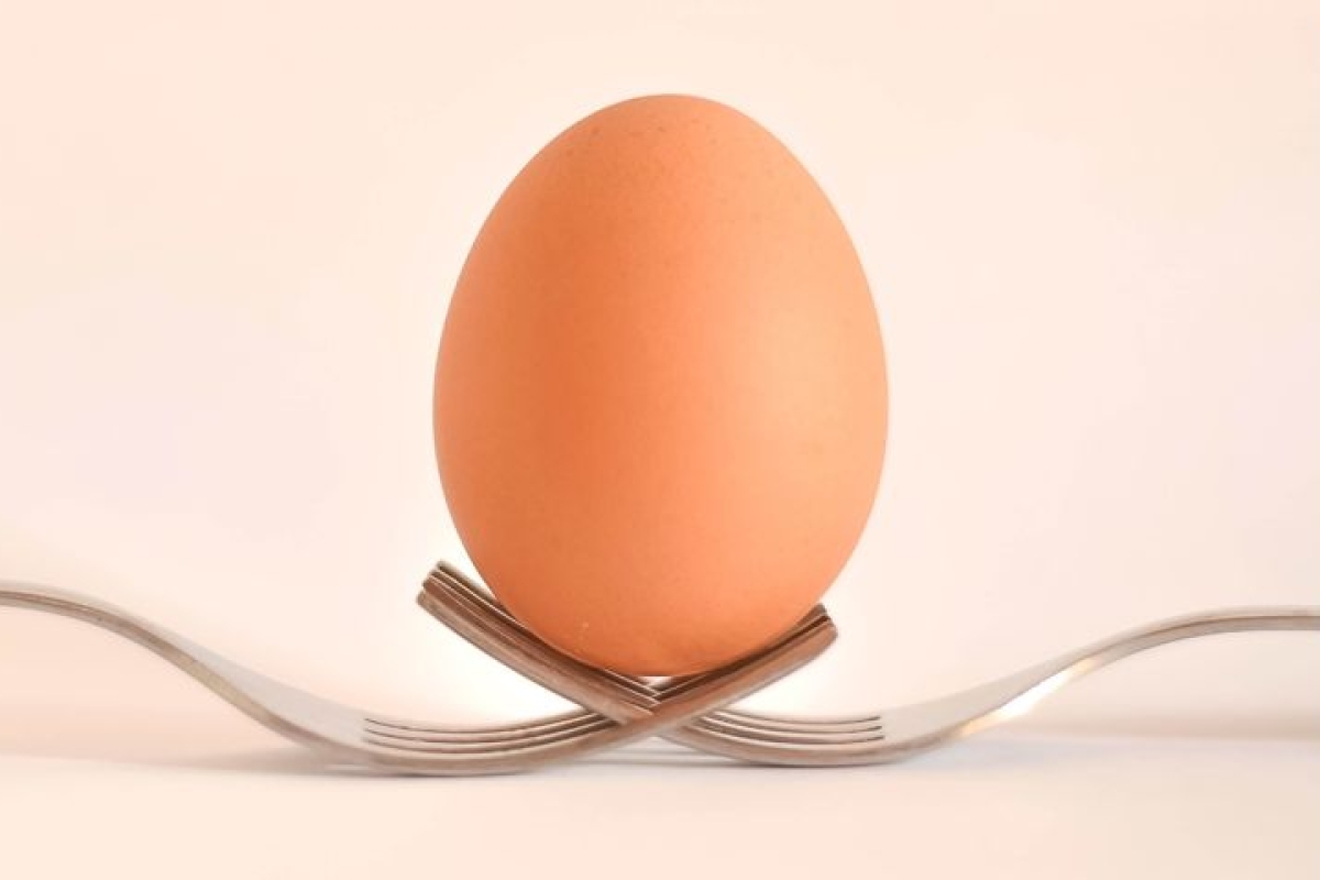 Harvard Gut Health Expert Shares 11 Science-Backed Tips for Healthier Eating: 'Don't Shy Away from Eggs'